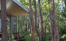 Hidden Valley Forest Retreat